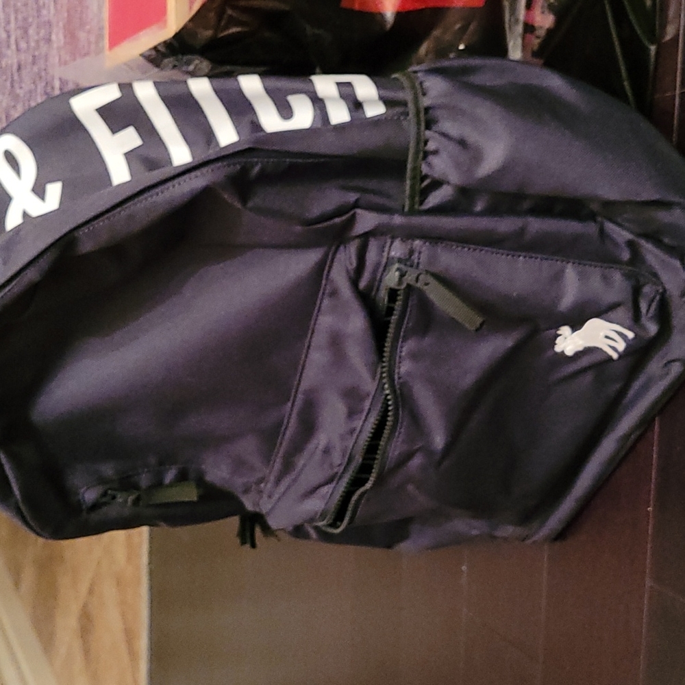 Abercrombie and Fitch backpack
